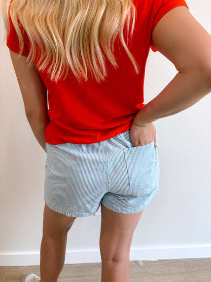 Mark 16:15 Light Blue Stripe Drawstring Waist Denim Shorts