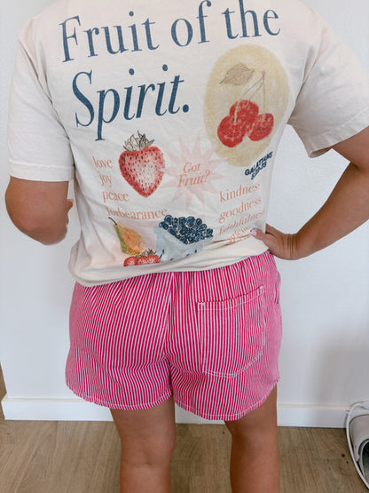 Mark 16:15 Pink Stripe Drawstring Waist Denim Shorts